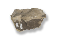 M 02353
<br/>
<br/>
<em></em>